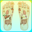 Panduan Urut Reflexology Icon