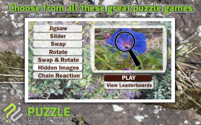 Free Wild Flowers Puzzle Games screenshot 0