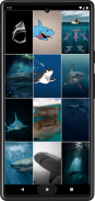 Shark Wallpapers screenshot 3