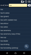 English Japanese Dictionary Ro screenshot 6