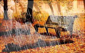 Autumn Rain live wallpaper screenshot 5