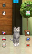 Kucing Berbicara screenshot 9