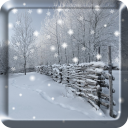 Winter Snow Live Wallpaper