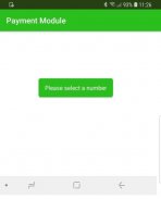 Payment Module screenshot 0