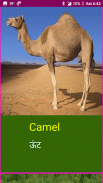 Learn English Wildlife and Body Parts Names screenshot 10