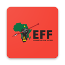 2019 EFF