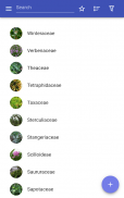 Botanische Familien screenshot 8