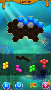 Hexa Block Puzzle Game screenshot 2