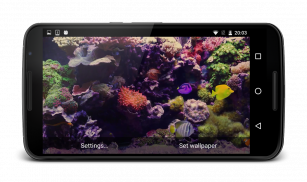 Tropical Fish Live Wallpaper screenshot 6