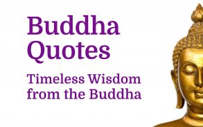 Buddha Quotes of Wisdom, Daily screenshot 3