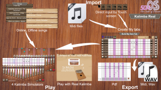 Kalimba Real screenshot 7