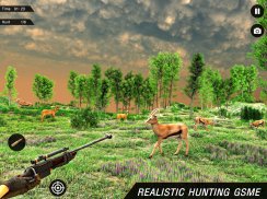 Deer Hunting Games Wild Animal screenshot 4