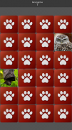 Juego de Memoria: Animales screenshot 0