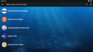 Radio Oldies Musica screenshot 0