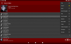 Spectrolizer - Music Player & Visualizer screenshot 5