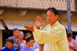 Learn Tai Chi: Tai Chi Videos screenshot 0