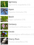 Bach Flower Remedy Browser screenshot 3