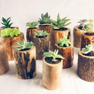 1000+ Wood Planters Ideas screenshot 3