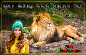 Lion Photo Frames screenshot 1