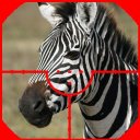 ZEBRA HUNTER Icon