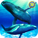 Whale Family Simulator