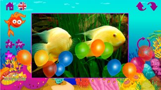 Puzzles fish screenshot 6