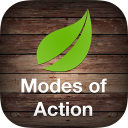 Modes of Action Icon