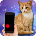 Moving laser pointer for cats (PRANK) Icon