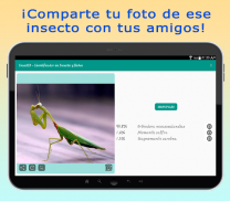 InsectID – Identifica Insectos screenshot 13