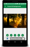 Forest HD Backgrounds screenshot 2