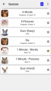 Gatos - Prueba acerca de todas las razas populares screenshot 0