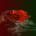 Smoky Red Rose LWP Icon