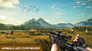 Wild Shooting Hunting Games 3d screenshot 0