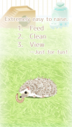 Hedgehog Pet screenshot 0