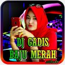 DJ Gadis Baju Merah Viral Tiktok DJ Remix Offline Icon