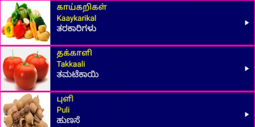 Learn Tamil From Kannada screenshot 11