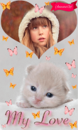 Sweet Cats GIF Photo Frames screenshot 2