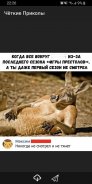 Чёткие Приколы screenshot 9
