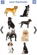انواع الكلاب | سلالات الكلاب screenshot 6