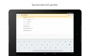 Yandex Browser (beta) screenshot 7