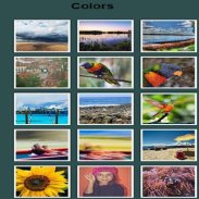 Colors Photo Gallery screenshot 1