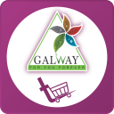 Galwaykart Icon