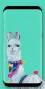 Cute Llama Wallpapers screenshot 13