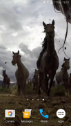 Cavalos selvagens 4K screenshot 2