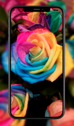 Colorful Roses Wallpapers screenshot 4