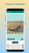 InsectID - Identifier insectes screenshot 7