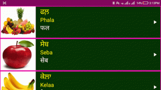 Learn Punjabi From Hindi screenshot 3