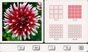 Indovina il Fiore: Puzzle Mattonelle screenshot 0