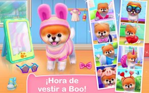 Boo – El Perro Más Lindo screenshot 0