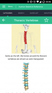 Human Skeleton Reference Guide screenshot 7